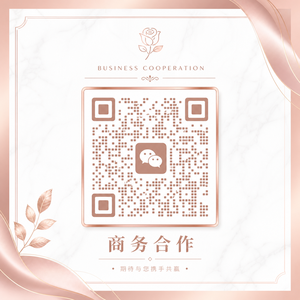 捷克街头商务合作